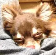 みな
