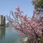 aurla【プロフ必読】の画像