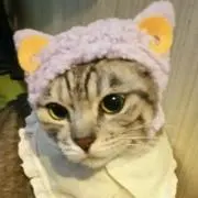 LILAの画像