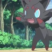 とっぺの画像