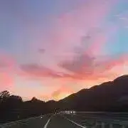 pupuの画像