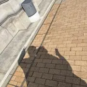 mimiの画像