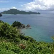 やんの画像