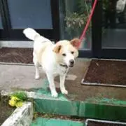 ケン