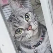 三浦貴大の画像