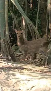 ビル