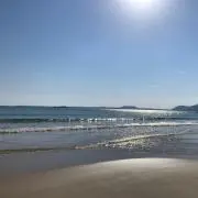 かずの画像