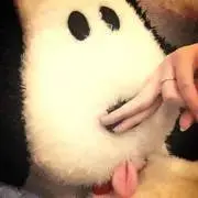 mou.の画像