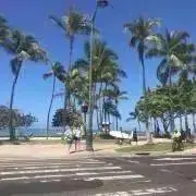 merciの画像
