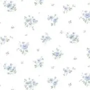 lilyの画像