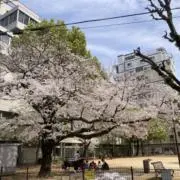 ゆうの画像