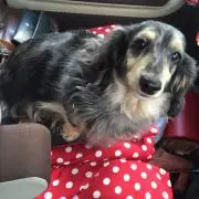 ミルク