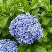 fukusuke⭐︎の画像