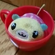 ハム助まろんの画像