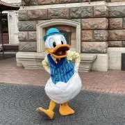 ソラの画像