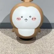しらこの画像