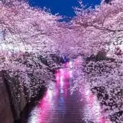 a【まとめ割、リピート割、フォロー割有】の画像