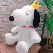 riiの画像