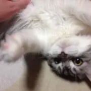 たろう