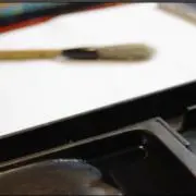 shoの画像