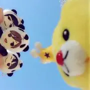 まいの画像