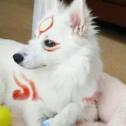 ふぎゃー