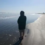 やなぎの画像
