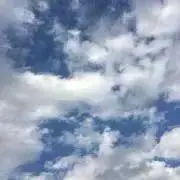 サンダーリップスの画像