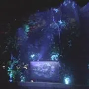マリィ　基本匿名配送の画像