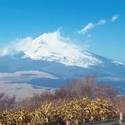 ことぶき号の画像