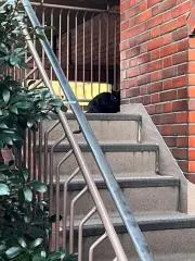 のすけの画像