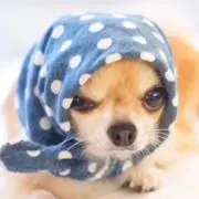 バルサ★プロフ必読お願いします★の画像