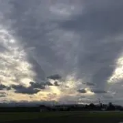 かめにゃ