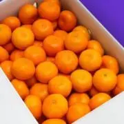 夏みかんの画像