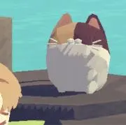 mmy