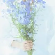 琉愛