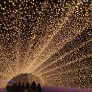 あかの画像