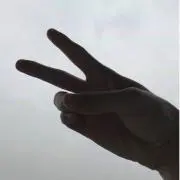 ‪Rの画像