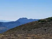 ACOの画像