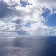 mamiの画像