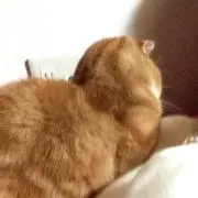 チャコ☺︎
