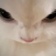 ミサ