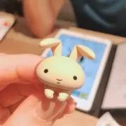 Rの画像