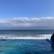 ちゃちゃの画像