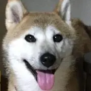 kuの画像
