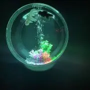 やまんばの画像
