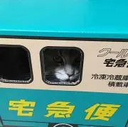 yuuの画像