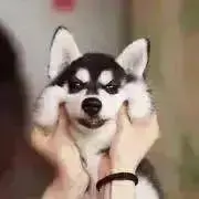 なな【期間限定出品】の画像