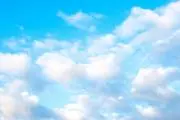 もちゅの画像