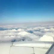 Mkdolphin7